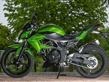 2015-2016 Green Matte Black Kawasaki Z250/Z300 Motorcycle Fairings UK