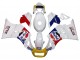 1984-1987 White Red Blue Yellow Motul Michelin Pepsi Suzuki RG400 RG500 RG400/500 Motorcycle Fairings UK