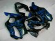 2001-2003 Blue Flames Honda CBR600 F4i Bike Fairings UK 2001-2003 Blue Flames Honda CBR600 F4i Bike Fairings UK