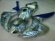 2006-2007 Blue Flame Silver Honda CBR1000RR Motorcycle Fairing Kits UK