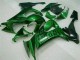 2008-2010 Green Flame Kawasaki ZX10R Bike Fairings UK 2008-2010 Green Flame Kawasaki ZX10R Bike Fairings UK